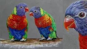 Tableau d'un couple d'oiseaux exotiques réalisé aux crayons de couleurs