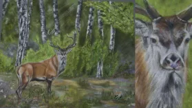 Tableau d'un cerf en sous bois