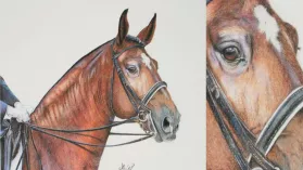 Tableau d'un cheval ibérique réalisé aux crayons de couleurs