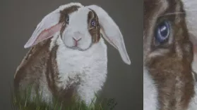 Tableau d'un lapin aux yeux bleus réalisé aux crayons de couleurs