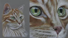 Portrait d'un chat roux réalisé aux crayons de couleurs