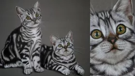 Tableau de deux adorables chatons réalisé aux crayons de couleurs