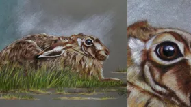 Portrait d'un lièvre réalisé aux crayons de couleurs