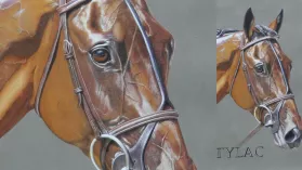 Portrait d'un cheval de courses réalisé aux crayons de couleurs