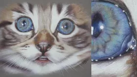 Portrait d'un chaton réalisé aux crayons de couleurs