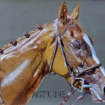 Portrait d'un magnifique cheval de course réalisé aux crayons de couleurs