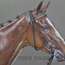 Grand dessin d'un cheval de courses réalisé aux crayons de couleurs