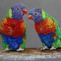 Tableau d'un couple d'oiseaux exotiques réalisé aux crayons de couleurs