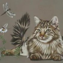 Portrait d'un chat très intéressé par des libellules réalisé aux crayons de couleurs