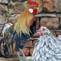 Tableau d'un coq fier de sa poule réalisé aux crayons de couleurs