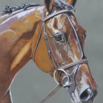 Portrait d'un cheval de courses réalisé aux crayons de couleurs