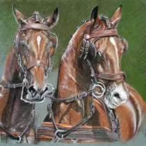 Portrait de chevaux réalisé aux crayons de couleurs