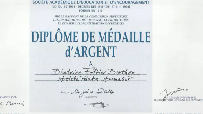 Diplôme de médaille d'argent Art Sciences Lettres