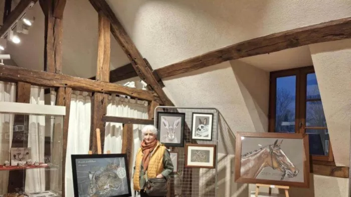 Exposition Maison de Pays de Bonny sur Loire