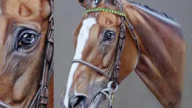 Dessin hyper-réaliste d’un cheval nommé Comédia Eria créé par Béatrice Foltier Berthon