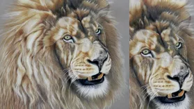 Portrait d'un lion réalisé aux crayons de couleurs