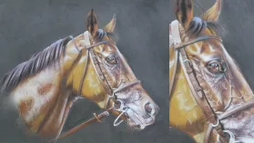 Portrait d'un cheval de courses réalisé aux crayons de couleurs