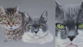 Portrait de deux chats