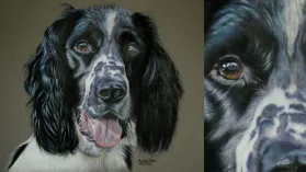 Portrait d'un chien réalisé aux crayons de couleurs