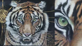 Portrait d'une tigresse de Sumatra réalisé aux crayons de couleurs