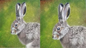Dessin d'une hase réalisé aux crayons de couleur