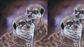 Dessin de deux suricates réalisé aux crayons de couleur