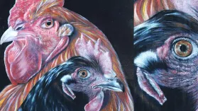 Dessin de poules réalisé aux crayons de couleur