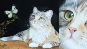 Dessin d'un chat réalisé aux crayons de couleur