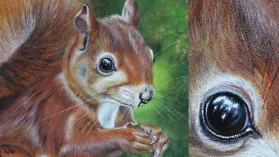 Dessin d'un écureuil réalisé aux crayons de couleur