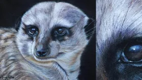Dessin d'un suricate réalisé aux crayons de couleur