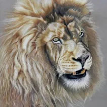 Portrait d'un lion réalisé aux crayons de couleurs