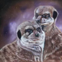 Dessin de deux suricates réalisé aux crayons de couleur