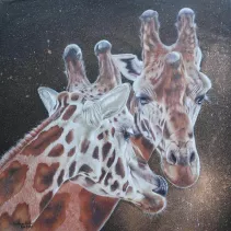 Dessin de deux girafes réalisé aux crayons de couleur