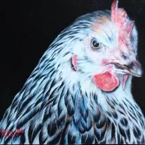 Dessin d'une poule réalisé aux crayons de couleur