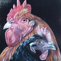 Dessin de deux poules réalisé aux crayons de couleur
